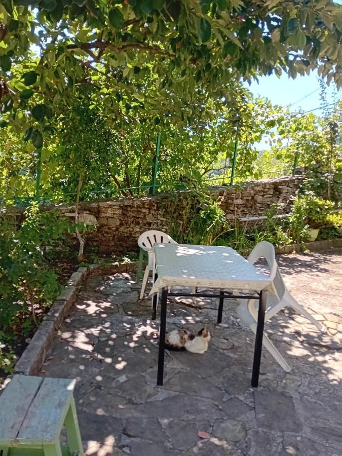 Stone Pazar Guest House Gjirokastër Eksteriør billede